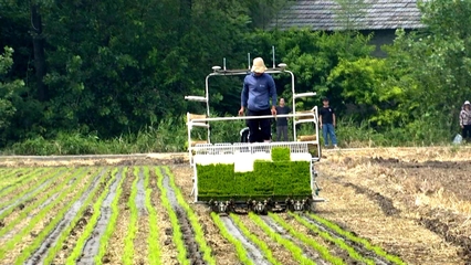 农机“跑”起来，“奏响”丰收乐章——江苏淮安农业机械服务助力现代农业发展