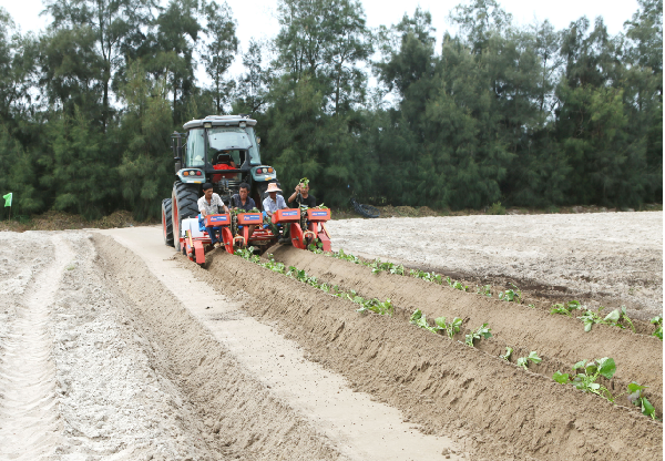 福建全程全面推进农业机械化 农业机械服务提质增效