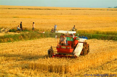 齐河县小麦收割服务价格详情及安头乡延军农机服务专业合作社介绍