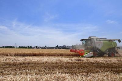 河南邓州 农机服务组织挑起农业现代化的“金扁担”