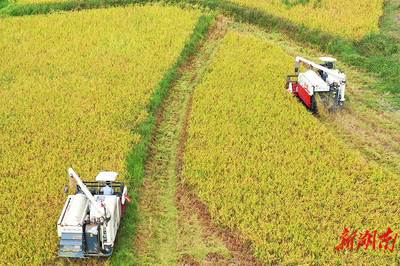 农机服务队助农收割，农业机械服务助力乡村振兴